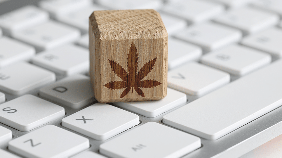 2023-11-09-marijuana