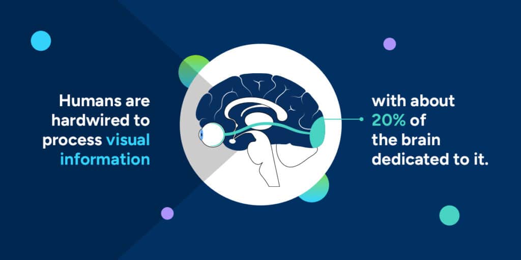 Humans are hardwired to process visual information